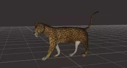 ultimate leopard Rigged 1 3D model