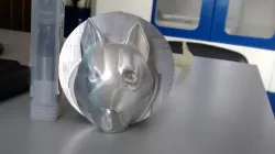 WOLF HEAD