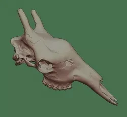 3D Models for sale 3D model