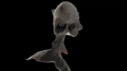 Alien covenant 3D model