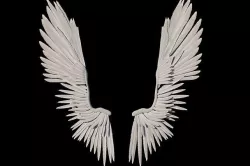 Angel Wings Rig 3D model