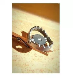 Bear trap 3D model