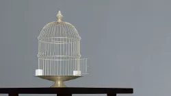 Birdcage vintage 3D model