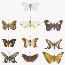 Butterfly Collection PBR Rigged Animated 3D model