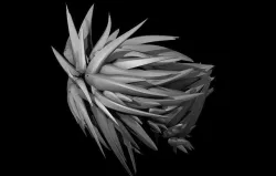Cloud Strife Hair 3D model