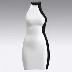 DRESS BLACK AND WHITE MINI DRESS COLOR BLOCK 3D model