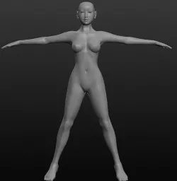 Female body  3D model
