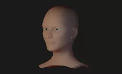 Head Base Mesh and Basic Skin Shader for Eevee 3D model