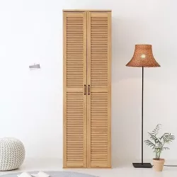 HEIN shelf storage 2 doors 3D model