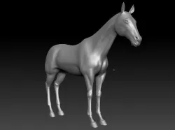 Horse animal steed Tpose land ride cavalry donkey mule racing 3D model