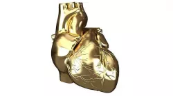 Human Heart Golden 3D model