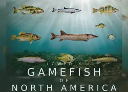 Lowpoly Game Fish Low-poly 3D model