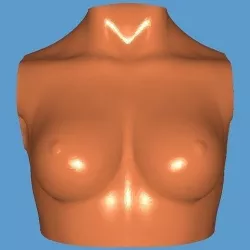 MakeIT Female Bust 3 Piece Top Body Base 3D Model  3D model