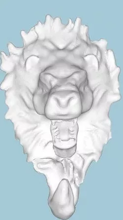 MakeIT Lion Face Hanger 3D Model 3D model