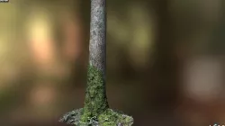 Mossy tree trunk 3D model