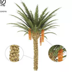 palm tree 3D model