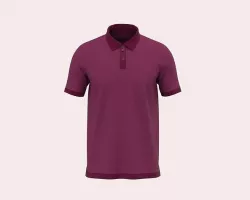Polo Shirt 3D model