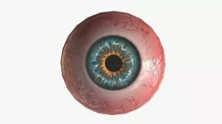 Realistic Eyeball Generator Low-poly 3D model