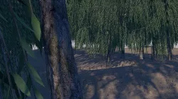 Sand Environment Template C4D 3D model