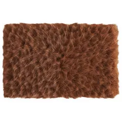 Small Rectangular Fluffy Rug 3D model
