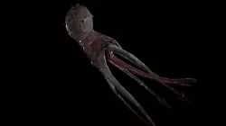 Star Vampire - Lovecraft Monster Low-poly 3D model