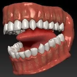 teeth 3D model