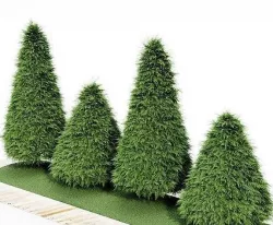 2 Different tree Cone shaped green coniferous Buxus trees 3D model