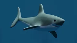 3D Shark Model - Rigged Low-poly 3D model
