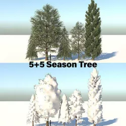 5-5 Season Tree  3D model