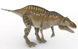 Animal - Dinosaur  3D model