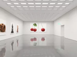 Art Gallery 3D model