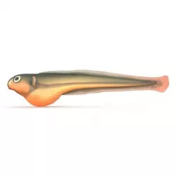 Baby fish Low-poly 3D model