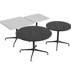 Beetle Lounge Table 3D model
