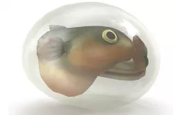 Fish larva Low-poly 3D model