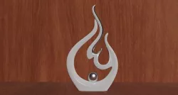 Flame Vase 3D model