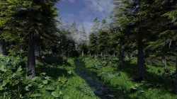 Forest Scene 3D model