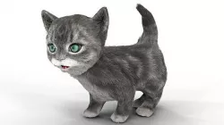 Fur Cute Gray Cat Kitten Animated Low-poly 3D model