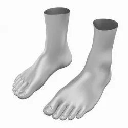 Human Feet In Standing Position Base Mesh 3D model