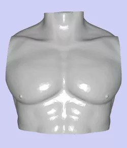  MakeIT Male Bust 3 Piece Top Body Base 3D Model  3D model