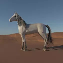 Pack of 3 horse breeds  3D model