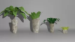 Pot plant package - 3D models 3D model