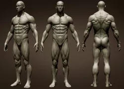 Realistic Male Full Body Sculpt 3D model