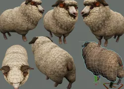 sheep 3D model