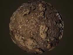 Skull Ground Material Texture