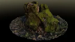 Stump in moss  3D model