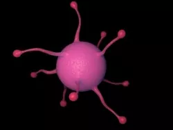 virus 3D model