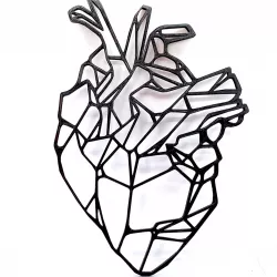 Anatomical Heart Wall Art