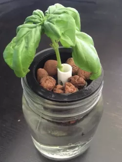 Cutting/Stem holder/guard for a net cup