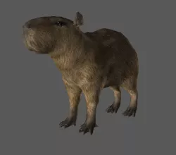 Green Hell - Capybara