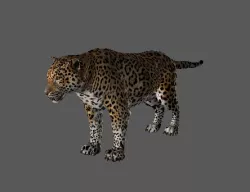 Green Hell - Jaguar